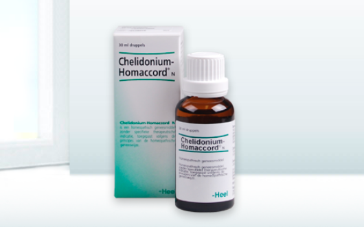 Chelidonium-Homaccord®